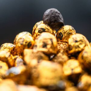 Bolitas de Coco chocolate Plant Based Distribuidor proveedor Taula Verda Barcelona Espana